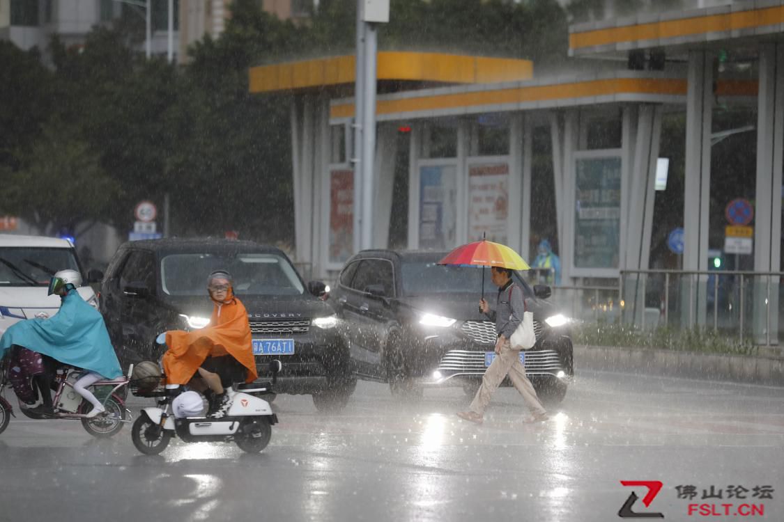 佛山市全面落細落實強降雨防御措施