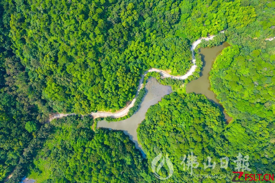 高明獲評“四好農村路”全國示范縣