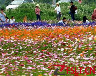 丹灶翰林湖都市型生態(tài)農(nóng)業(yè)園